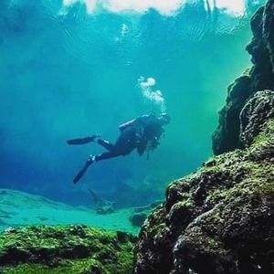 Meet your Posher, Devin